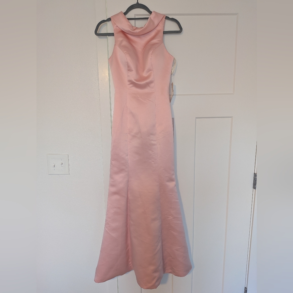 Elegant Pink Evening Gown- TS Couture